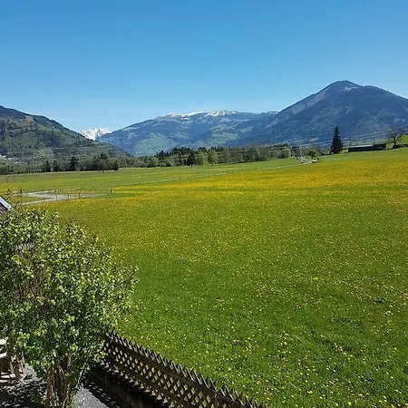 Daire Reindl 2 Summer Card Included *