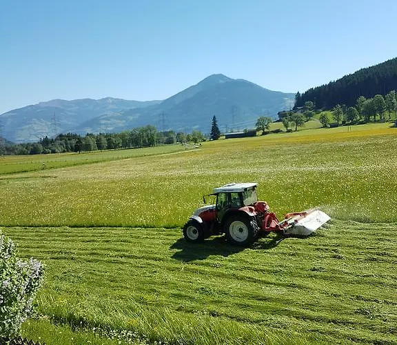 Reindl 2 Summer Card Included Appartement *